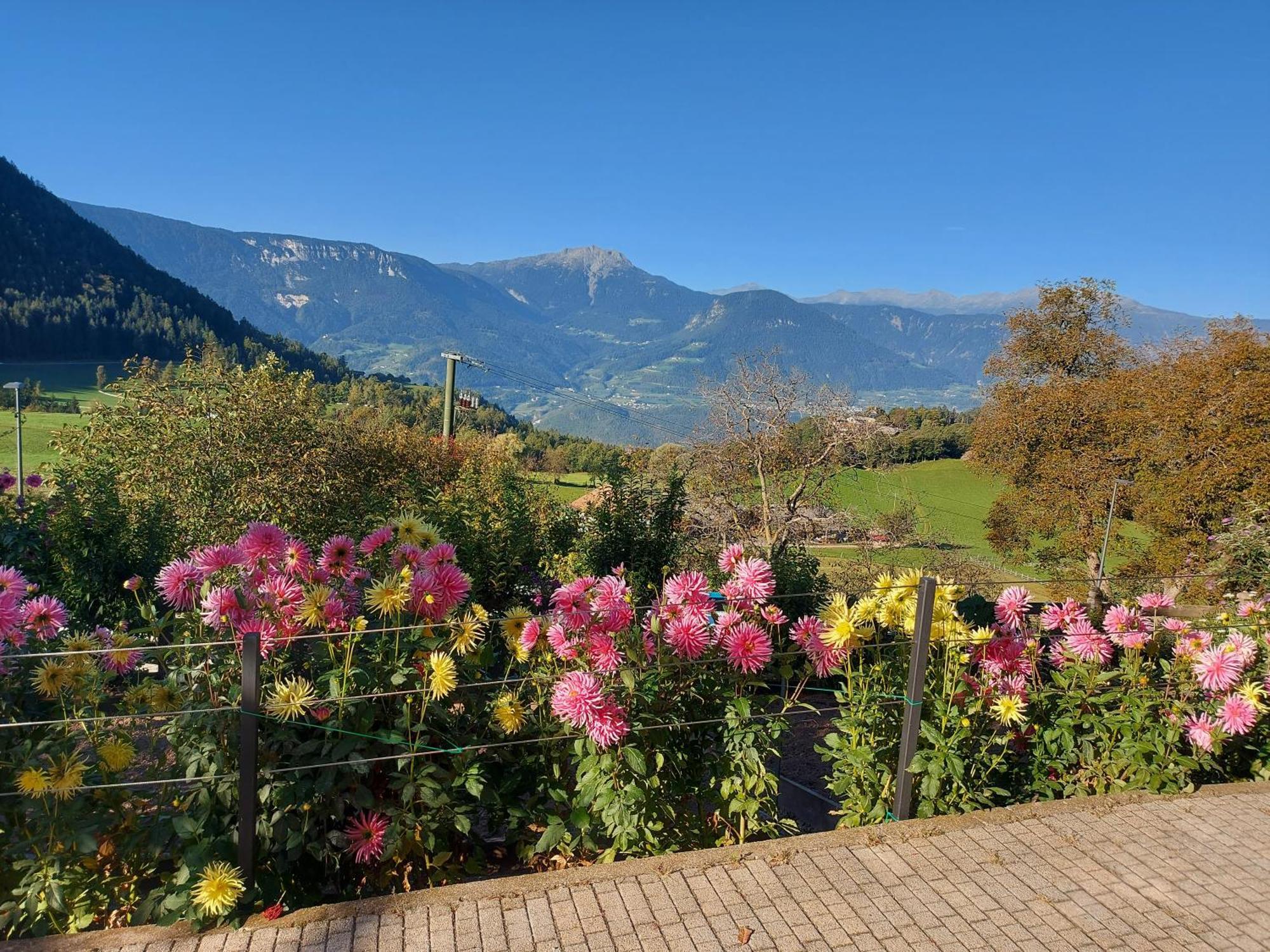 Апартаменты Alpenrose Мельтина Экстерьер фото